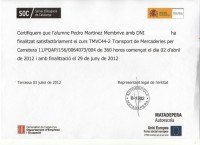 /album/pedromartinezmembrive/certificado-001-jpg/